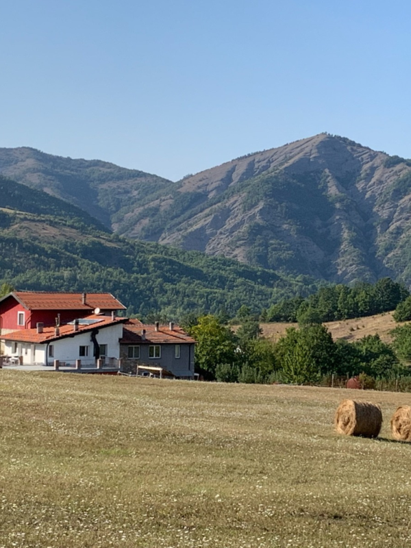 azienda